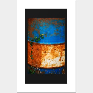 Ivy Against Blue and White Rusted Oil Drum Posters and Art